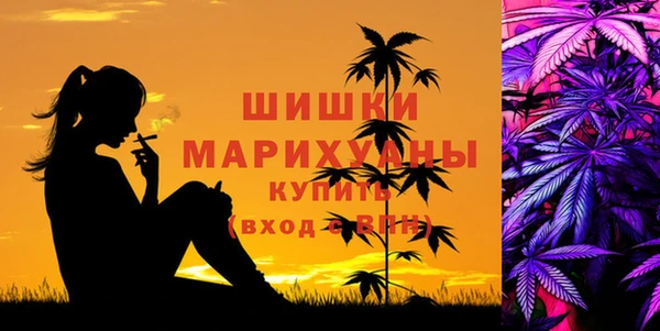 ГАЛЛЮЦИНОГЕННЫЕ ГРИБЫ Зерноград